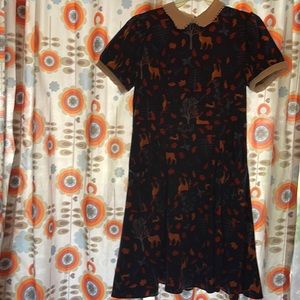 Purchased from Modcloth, cute fall dress , Peter Pan collar size 3x